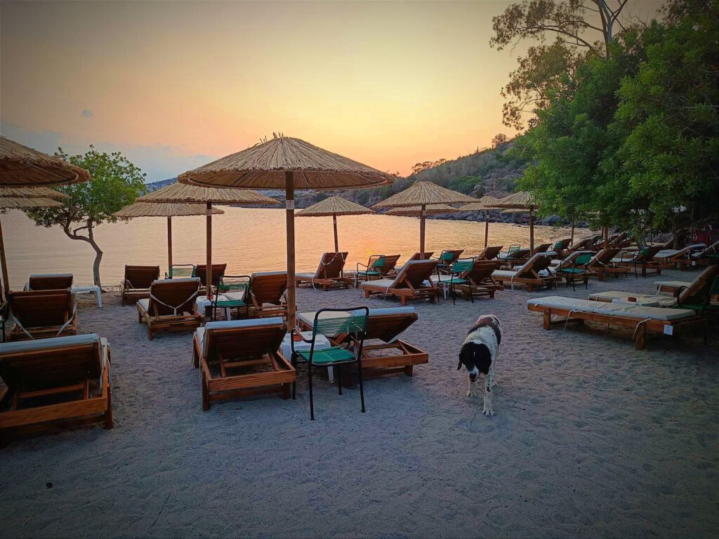 παραλίες στην Αίγινα