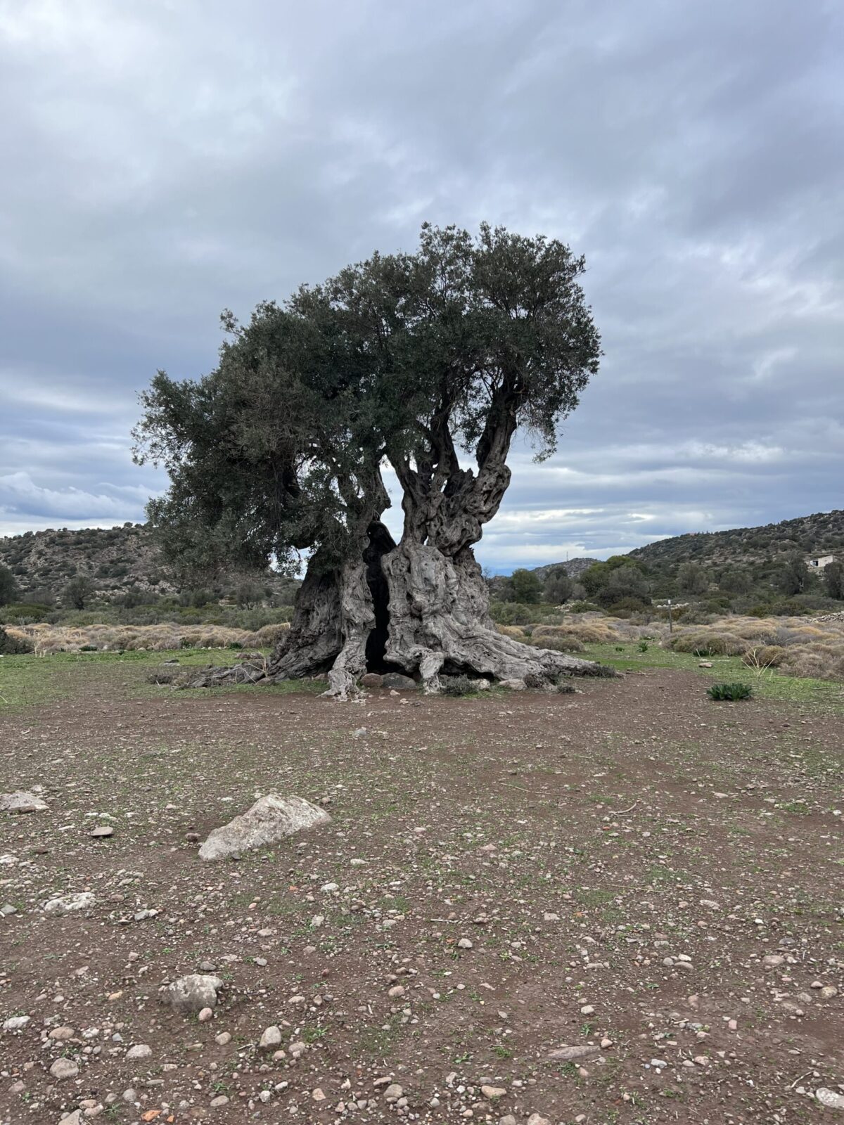 αναβάθμιση μονοπατιών στην Αίγινα