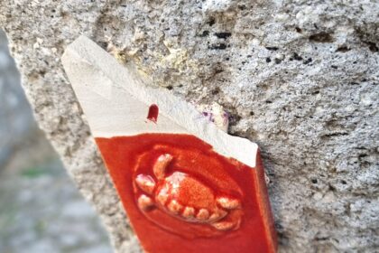 κεραμικές χελώνες