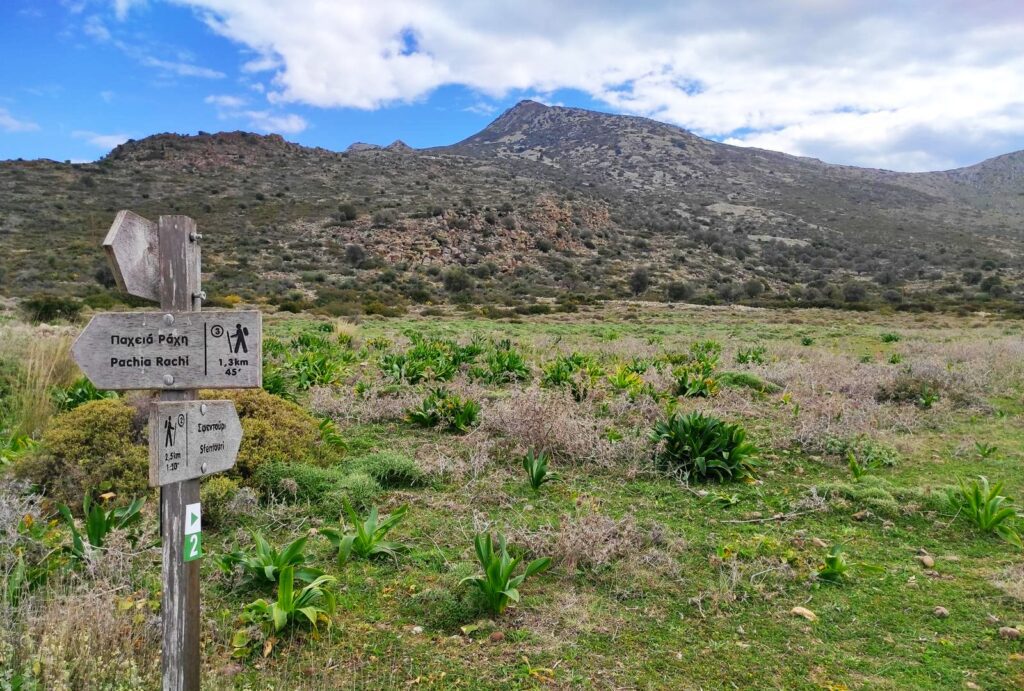 πεζοπορία στην Αίγινα