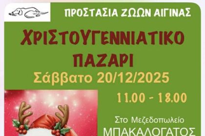 Προστασία Ζώων Αίγινας Αγκιστρίου