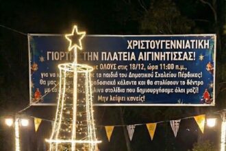 χριστουγεννιάτικη γιορτή