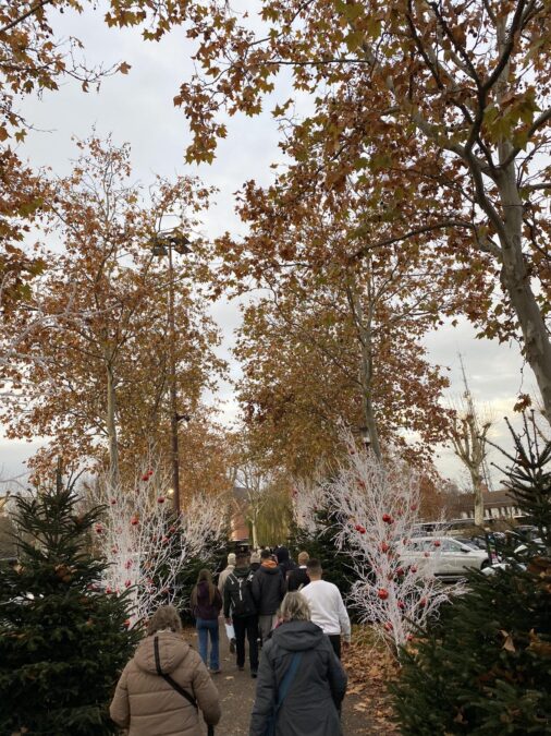 εκπαιδευτική εκδρομή 1ου ΓΕΛ Αίγινας