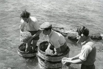 παραδοσιακά επαγγέλματα Αίγινα