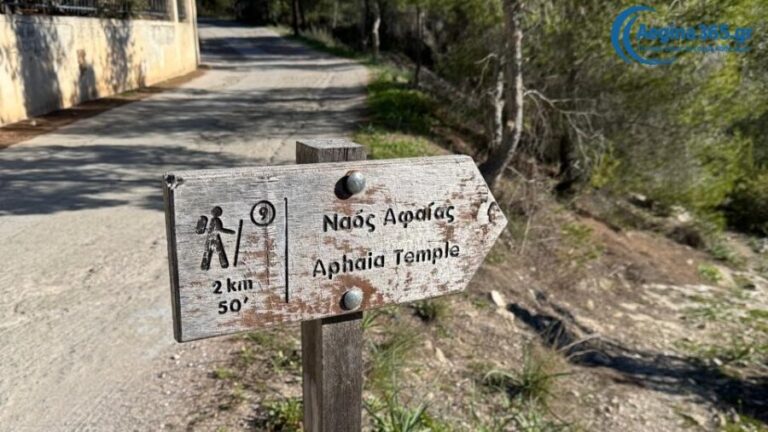 πεζοπορία Μεσαγρός Ναός Αφαίας