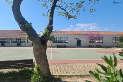 φωτιά Δημοτικό Σχολείο Κυψέλης Αίγινας