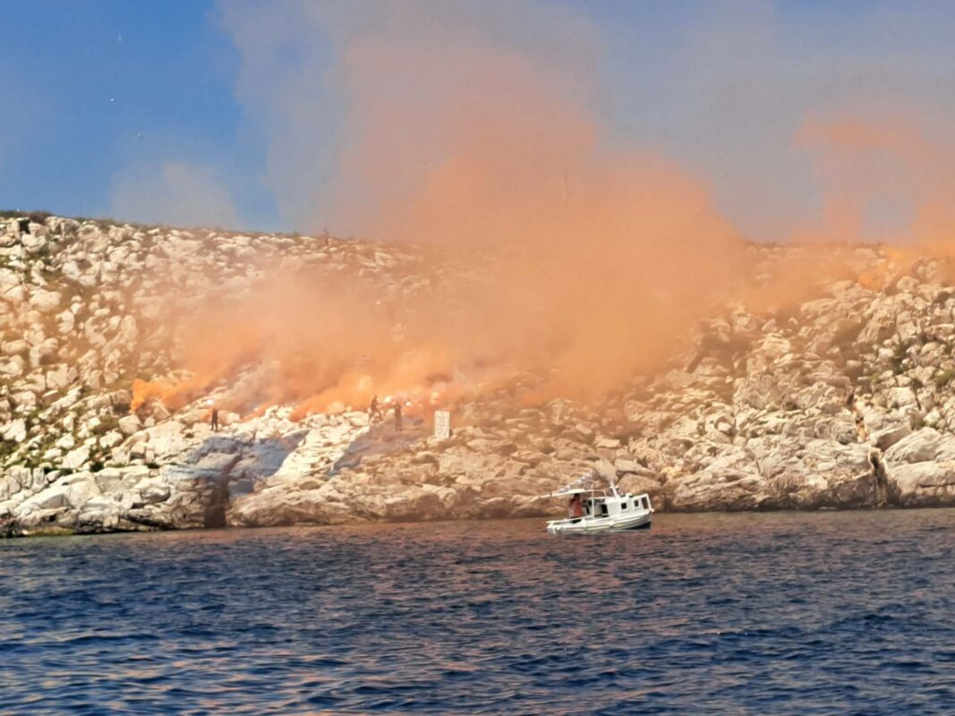 Ύδρα Λαούσες Αίγινας