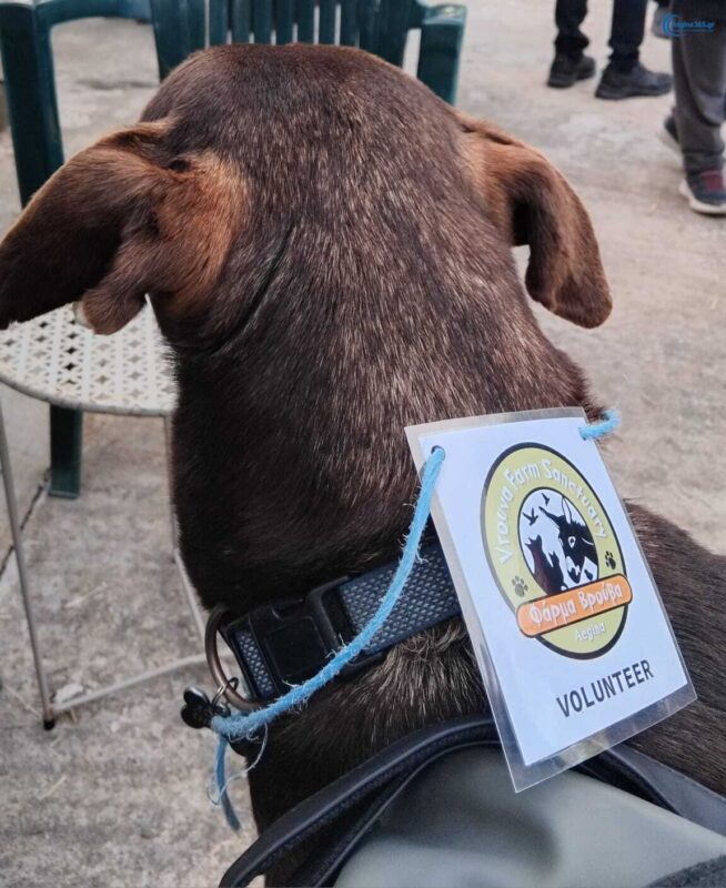 Ανοιξιάτικη Γιορτή Φάρμα Βρούβα