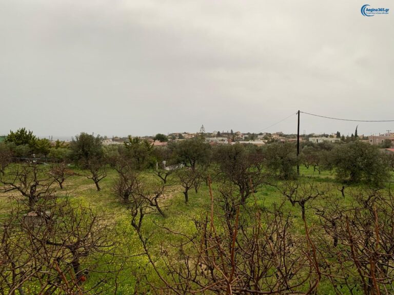 ακαθάριστα οικόπεδα 2026