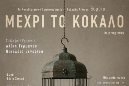 Μέχρι το κόκαλο Αίγινα