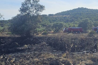 φωτιά στον Μεσαγρό Αίγινας