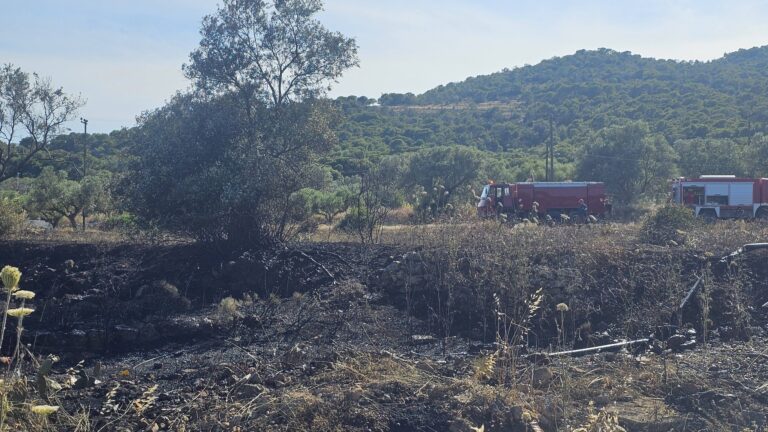 φωτιά στον Μεσαγρό Αίγινας