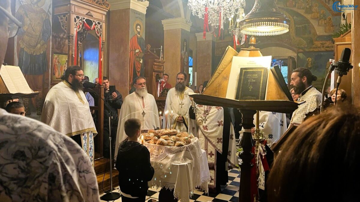 Παχειά Ράχη Αίγινας