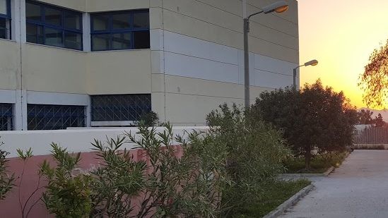 ΣΑΕΚ Αίγινας ειδικότητες