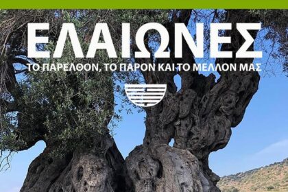 Συζήτηση ελαιώνες VESSEL STUDIO