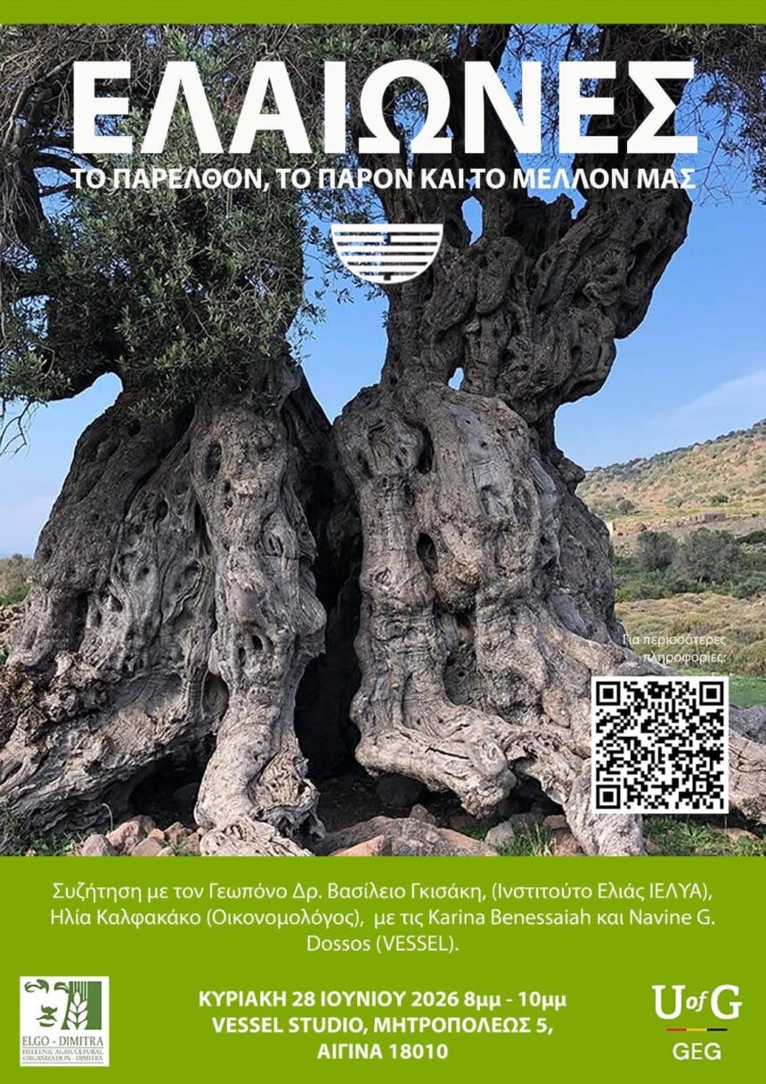 Συζήτηση ελαιώνες VESSEL STUDIO