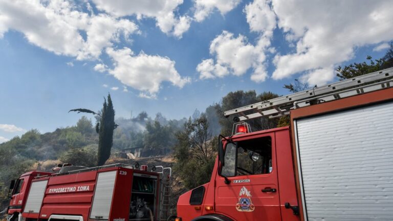 ενίσχυση Πυροσβεστικού Κλιμακίου Αίγινας