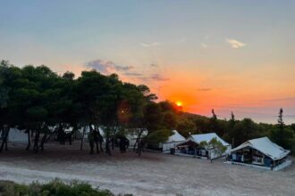 κατασκηνωτική περίοδος Τούρλος Αίγινας