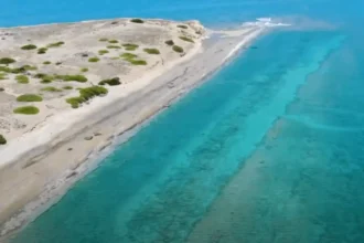 Μετώπη Αίγινας