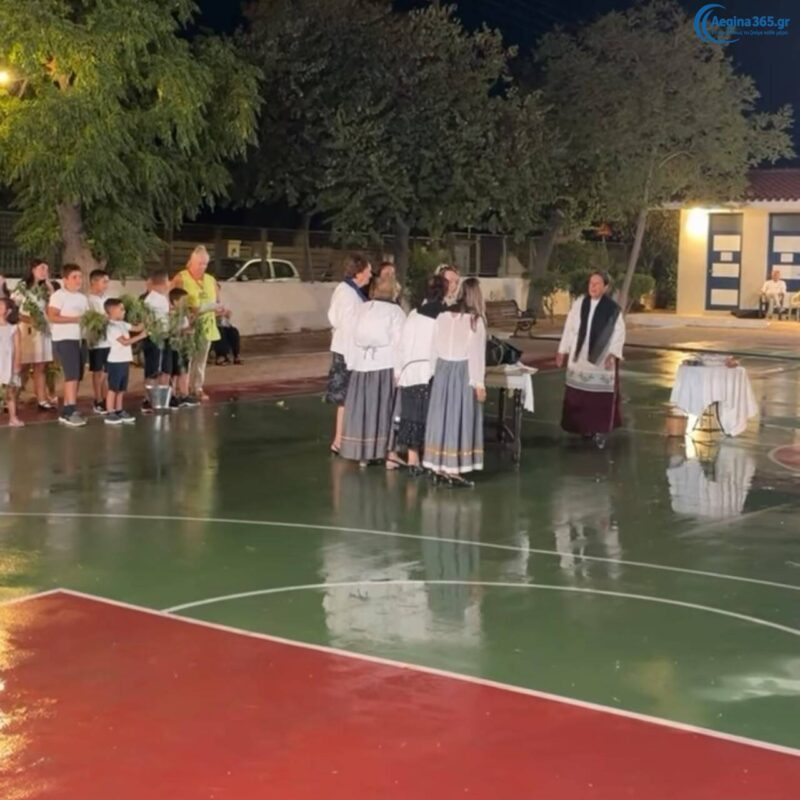 Λειδινός Αίγινα