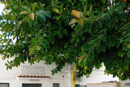 Χειρουργικό Ιατρείο Νοσοκομείο Αιγίνης