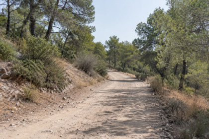 συντήρηση δασικών δρόμων Αίγινας