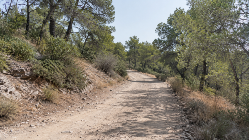 συντήρηση δασικών δρόμων Αίγινας