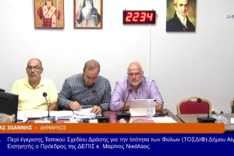 σχέδιο ισότητας φύλων Αίγινας