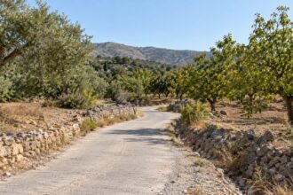 αγροτική οδοποιία Αίγινας