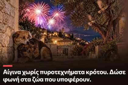 Φώτης Πούντος Αίγινα