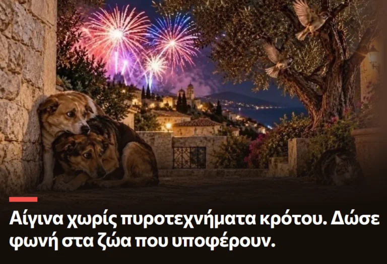 Φώτης Πούντος Αίγινα